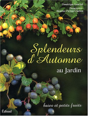 Splendeurs d'automne au jardin : baies et petits fruits