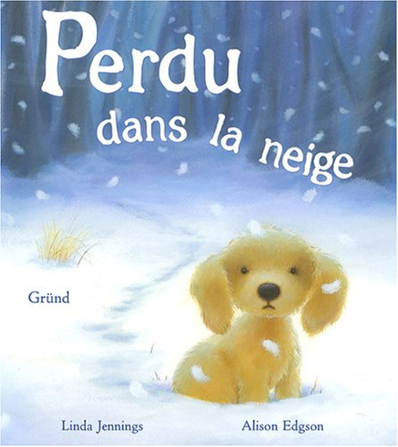 Perdu dans la neige