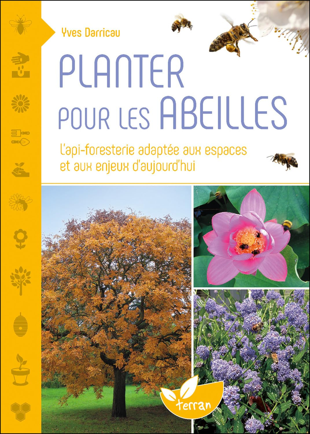 Planter des arbres pour les abeilles : l'api-foresterie adaptée aux espaces et aux enjeux d'aujourd'