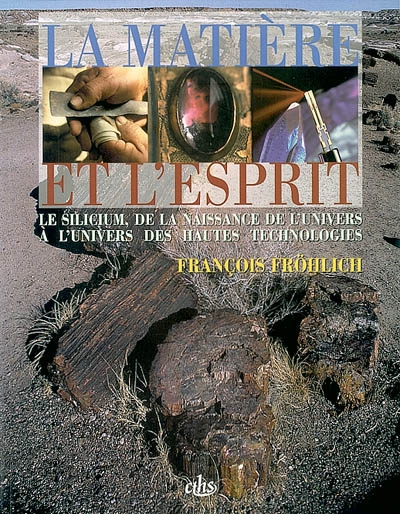 La matière et l'esprit : le silicium, de la naissance de l'Univers à l'univers des hautes technologi