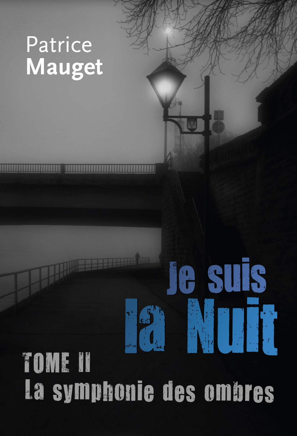 Je suis la Nuit Tome II : La symphonie des ombres