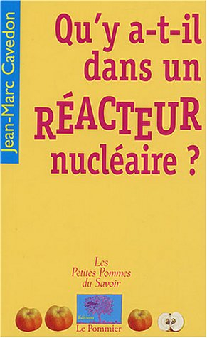 Qu'y a-t-il dans un réacteur nucléaire ?