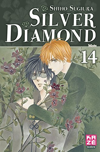 Silver Diamond. Vol. 14. Mots