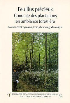 Feuillus précieux : conduite des plantations et ambiance forestière, merisier, érable sycomore, frên