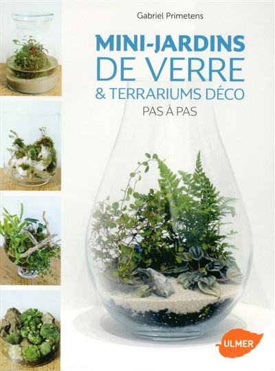 Mini-jardins de verre & terrariums déco pas à pas