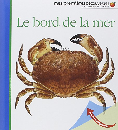 Le bord de la mer