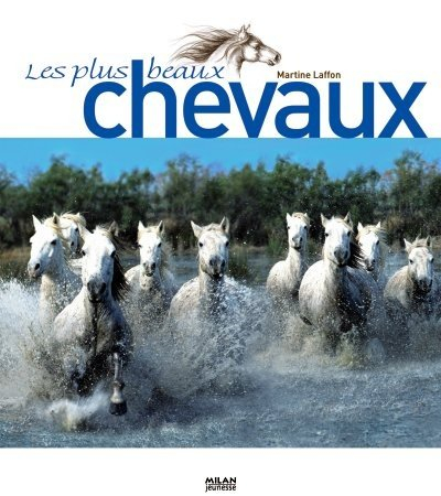 Les plus beaux chevaux