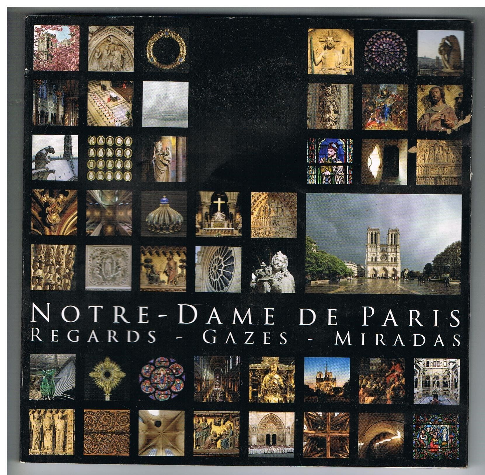 Notre-Dame de Paris, Regards, Gazes, Miradas, par Pascal Lemaître, Association Maurice de Sully