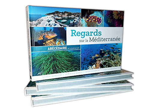 Regards sur la Méditerranée