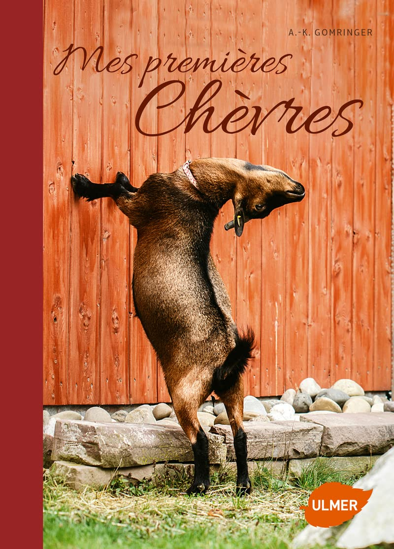 Mes premières chèvres