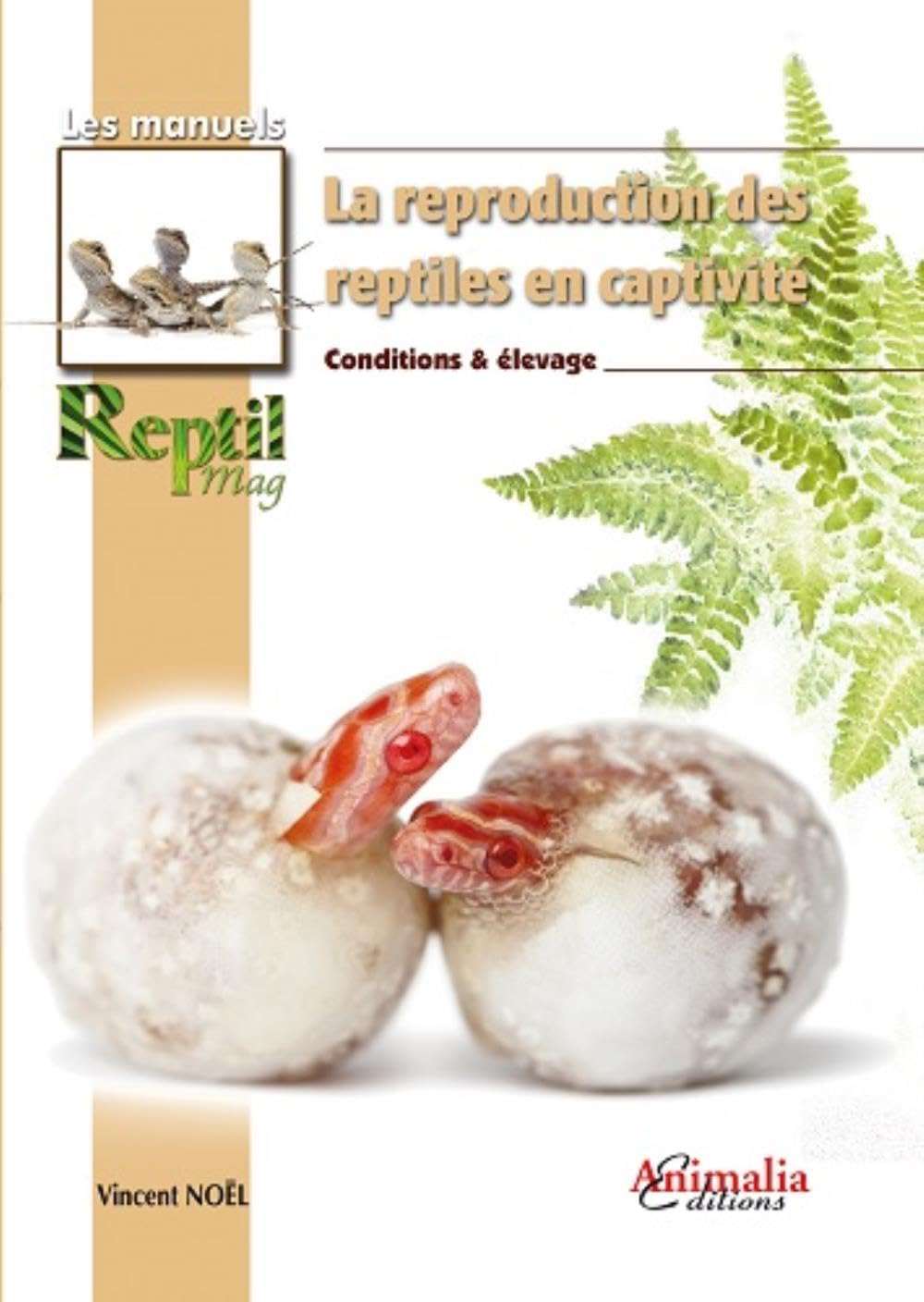 La reproduction des reptiles en captivité : conditions & élevage