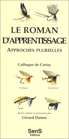 Le roman d'apprentissage. Approches plurielles