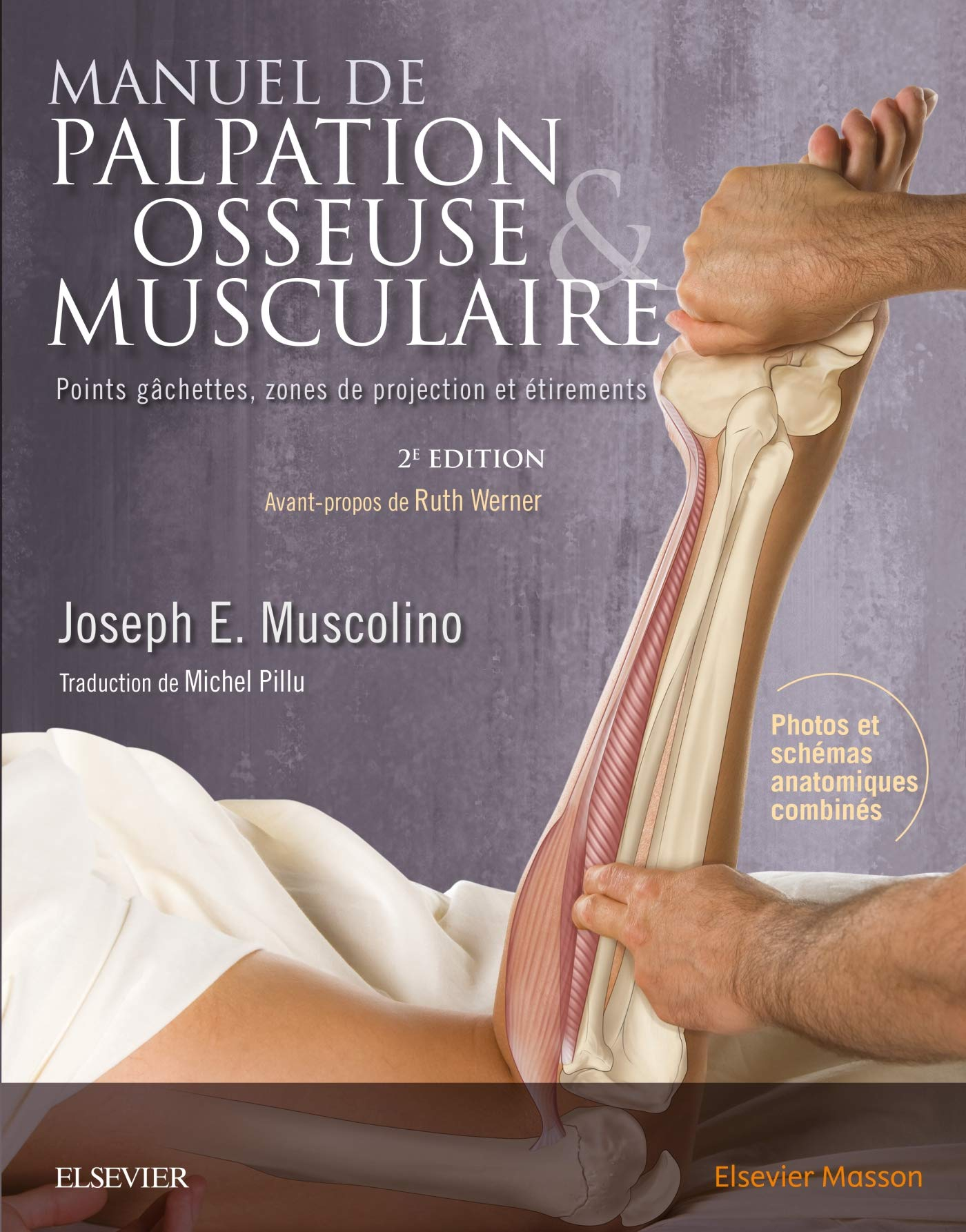 Manuel de palpation osseuse & musculaire : points gâchettes, zones de projection et étirements