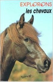 Les Chevaux