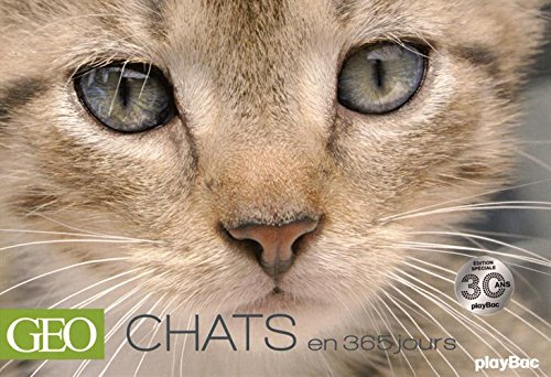 Calendrier chats en 365 jours