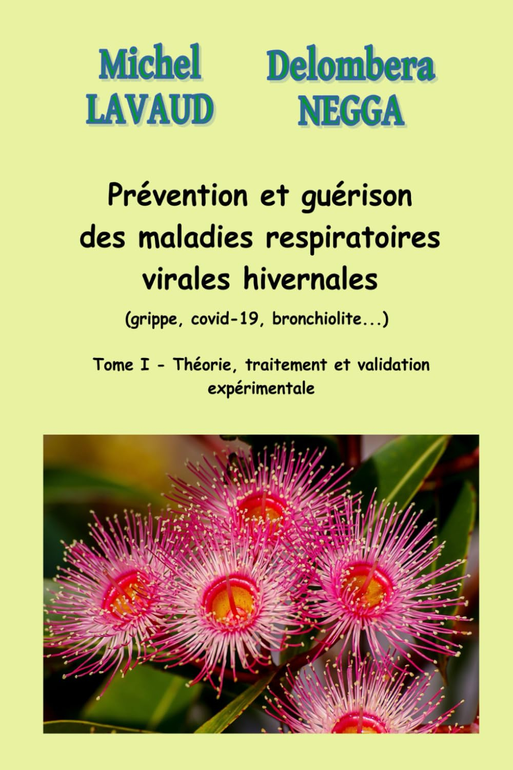 Prévention et guérison des maladies respiratoires virales hivernales (grippe, covid-19, bronchiolite