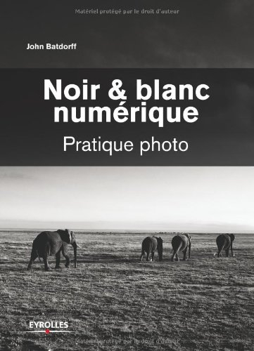 Noir et blanc numérique