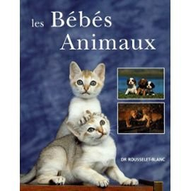 les bébés animaux