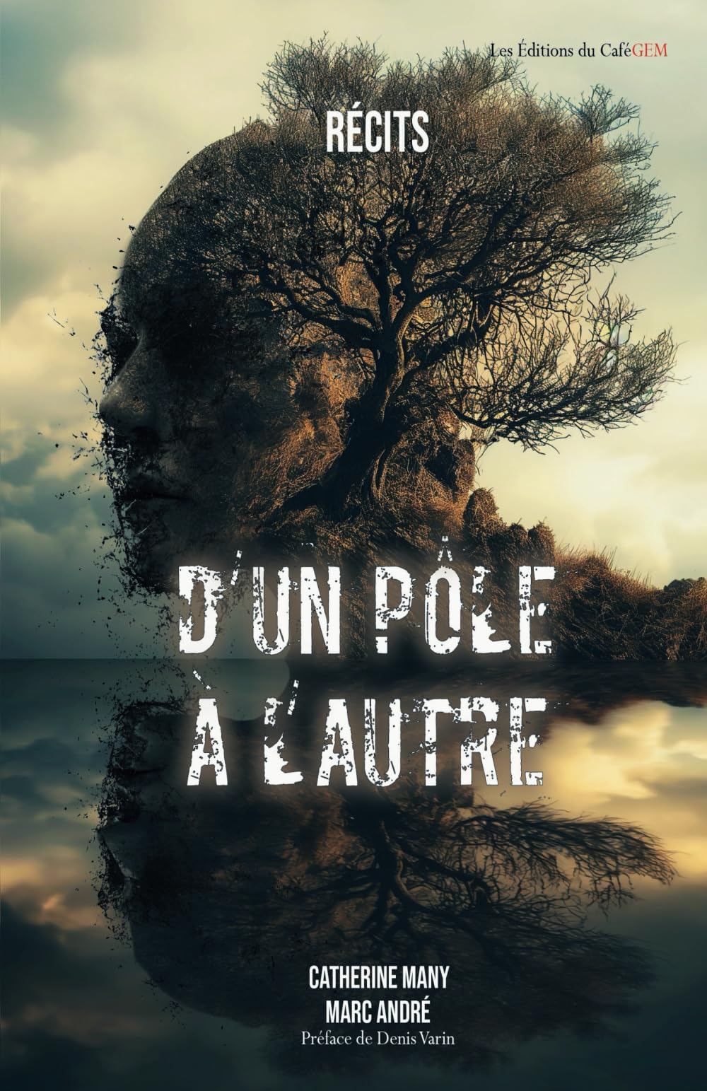 D'un pôle à l'autre: Récits