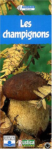 Les champignons : où les trouver, comment les identifier, lesquels cueillir