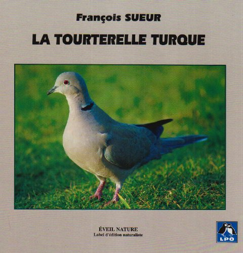 La tourterelle turque