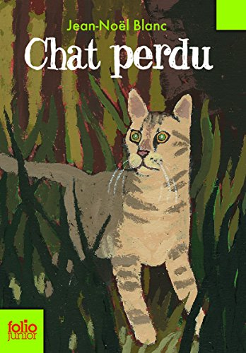 Chat perdu