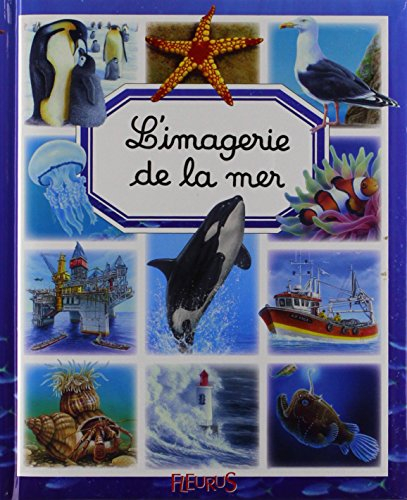 L'imagerie de la mer