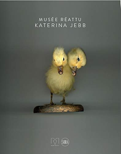 Katerina Jebb : Musée Réattu