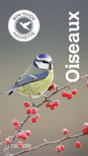 Oiseaux : identifier 100 espèces