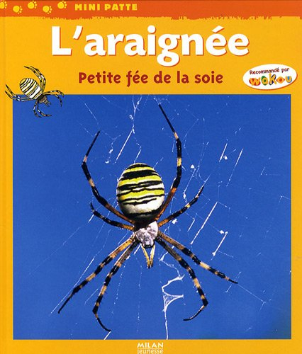 L'araignée : petite fée de la soie