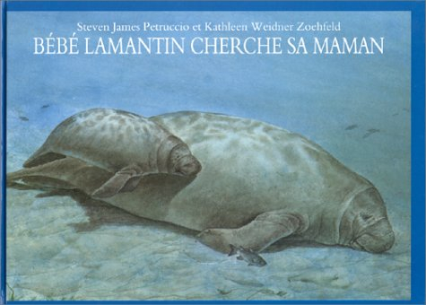 Bébé Lamantin cherche sa maman