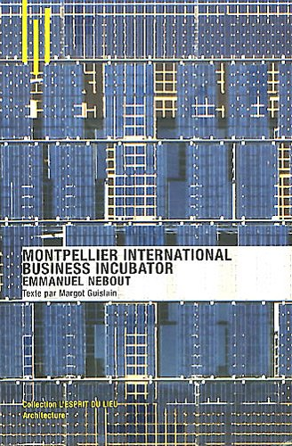 Montpellier international business incubator : Emmanuel Nebout