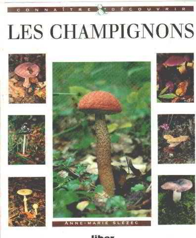 Les champignons