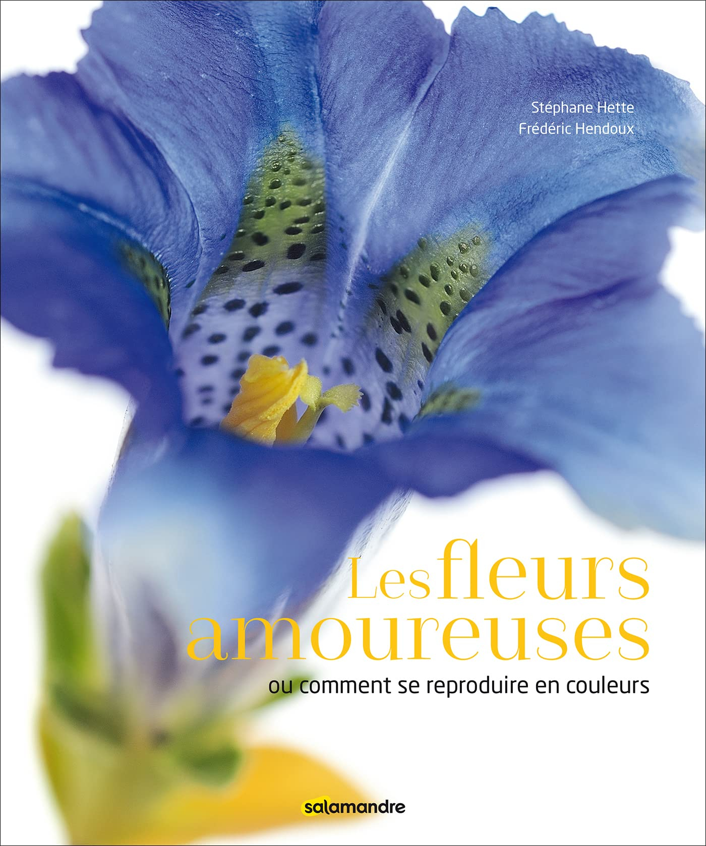 Les fleurs amoureuses ou Comment se reproduire en couleurs