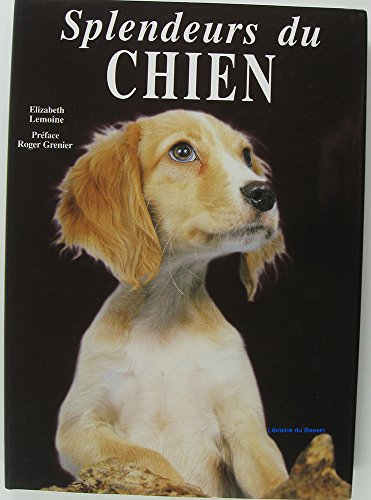 splendeurs du chien