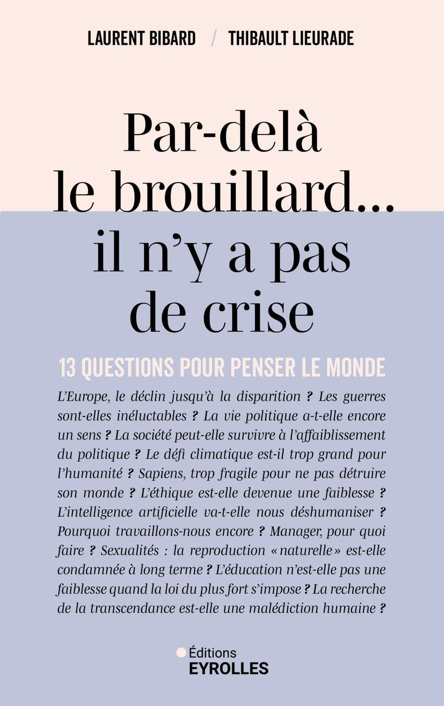 Par-delà le brouillard... il n'y a pas de crise : 13 questions pour penser le monde