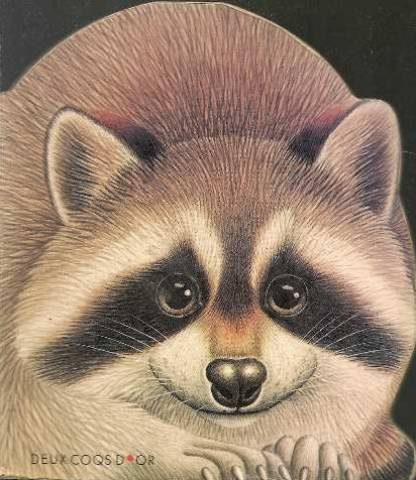 Le Raton-laveur du fleuve