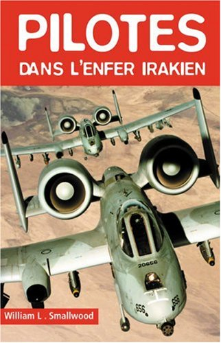 Pilotes dans l'enfer irakien
