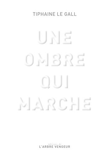 Une ombre qui marche : essai sur les fondements et les enjeux de L'oeuvre absente de Timothy Grall, 