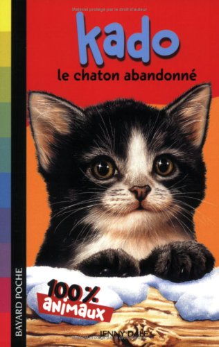 Kado, le chaton abandonné