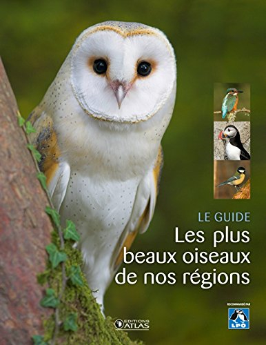 Les plus beaux oiseaux de nos régions : le guide
