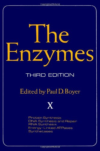 the enzymes