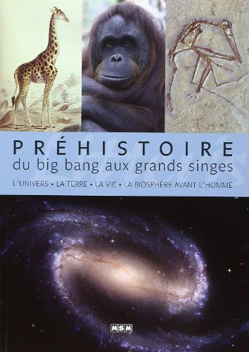 Préhistoire. Du big bang aux grands singes : l'Univers, la Terre, la vie, la biosphère avant l'homme