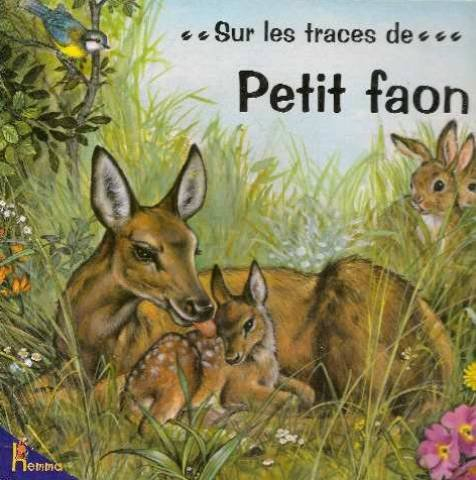 petit faon (sur les traces de...)