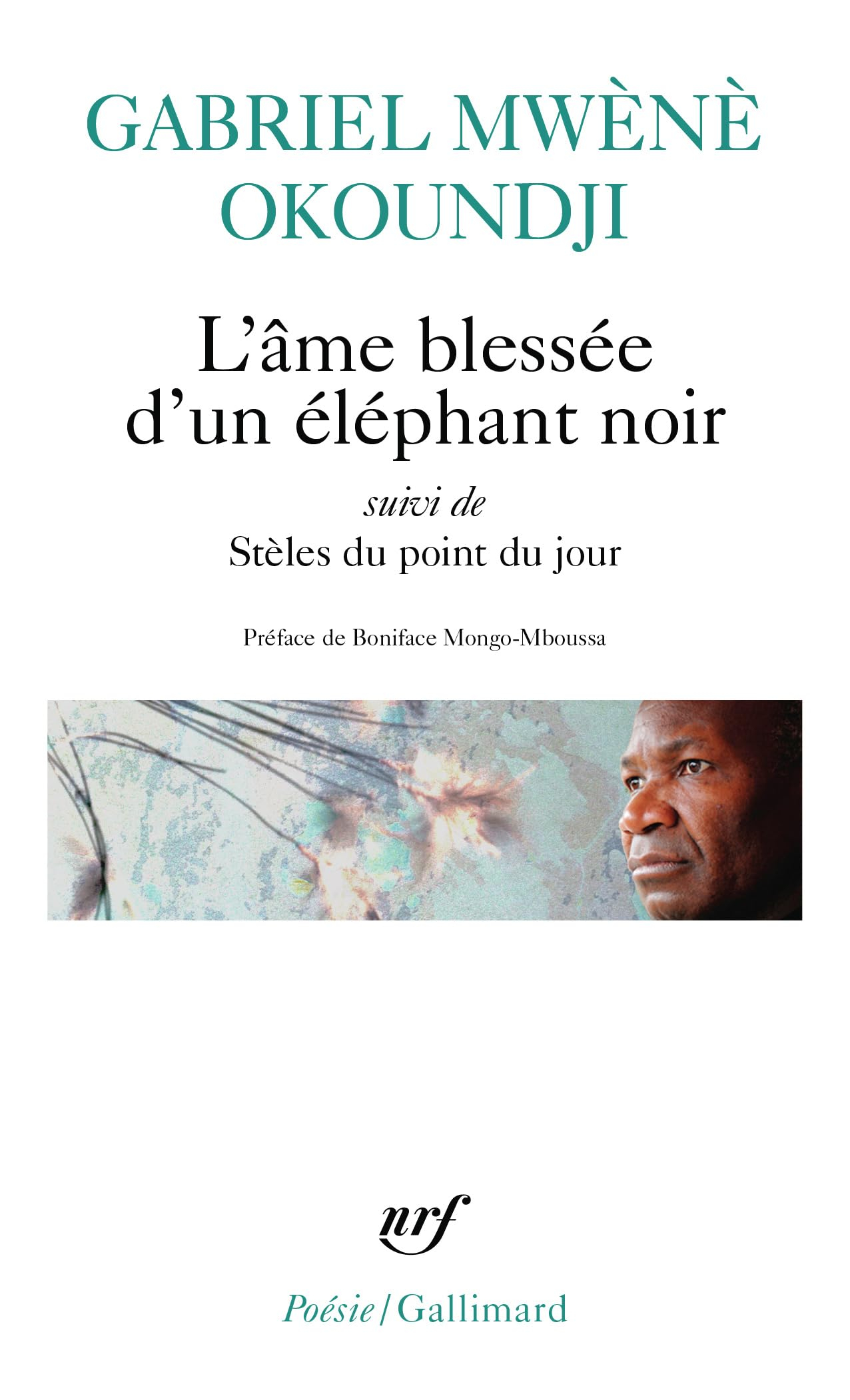 L'âme blessée d'un éléphant noir. Stèles du point du jour