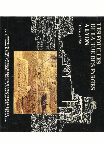 les fouilles de la rue des farges à lyon : 1974-1980