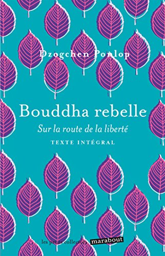 Le bonheur extraordinaire des gens ordinaires : la psychologie positive pour tous