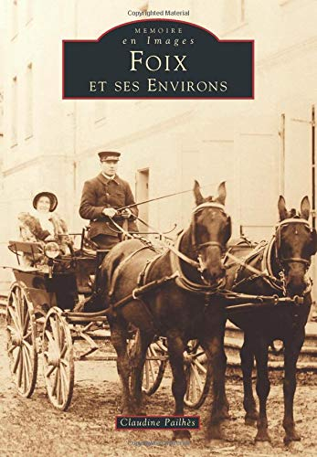 Foix et ses environs