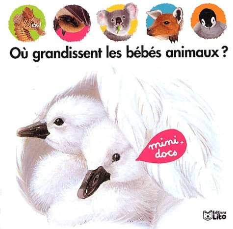 Où grandissent les bébés animaux ?