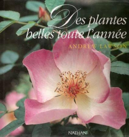 Des Plantes belles toute l'année